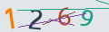 verifycode